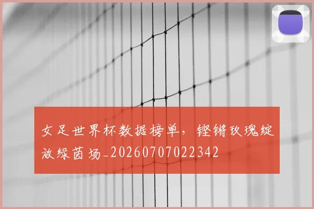 女足世界杯数据榜单,铿锵玫瑰绽放绿茵场_20260707022342