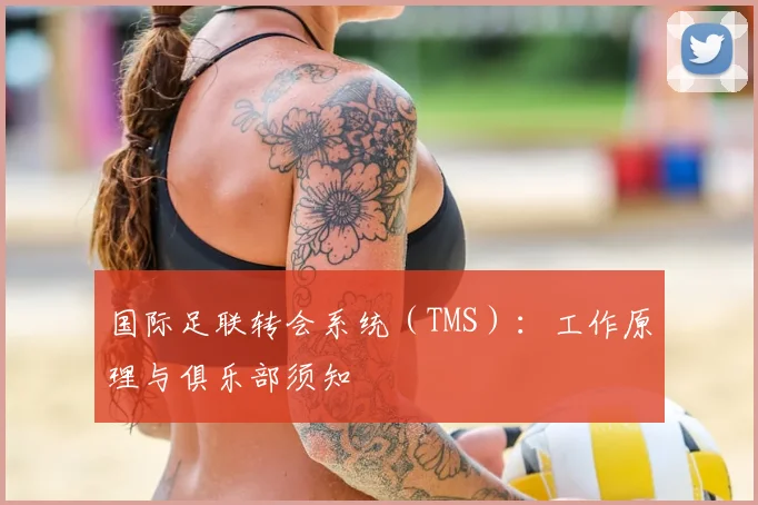 国际足联转会系统（TMS）：工作原理与俱乐部须知