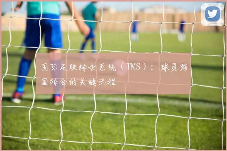 国际足联转会系统（TMS）：球员跨国转会的关键流程