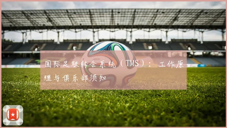 国际足联转会系统(TMS):工作原理与俱乐部须知